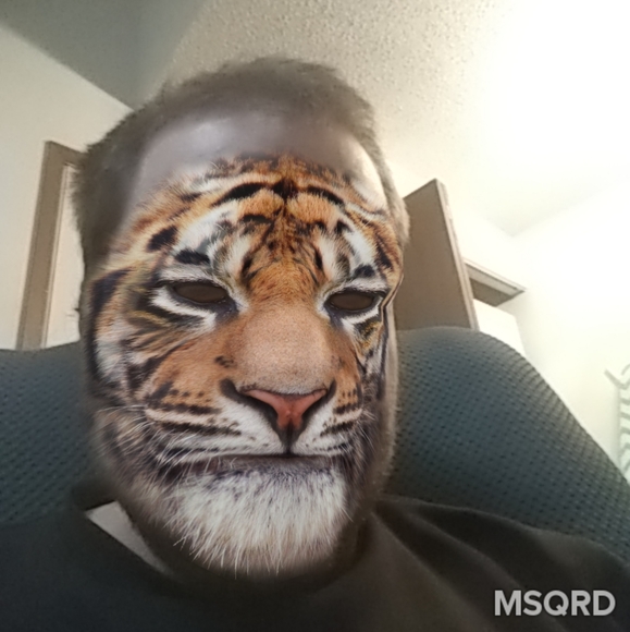 Meet your Posher, Darren - Picture 1 of 4